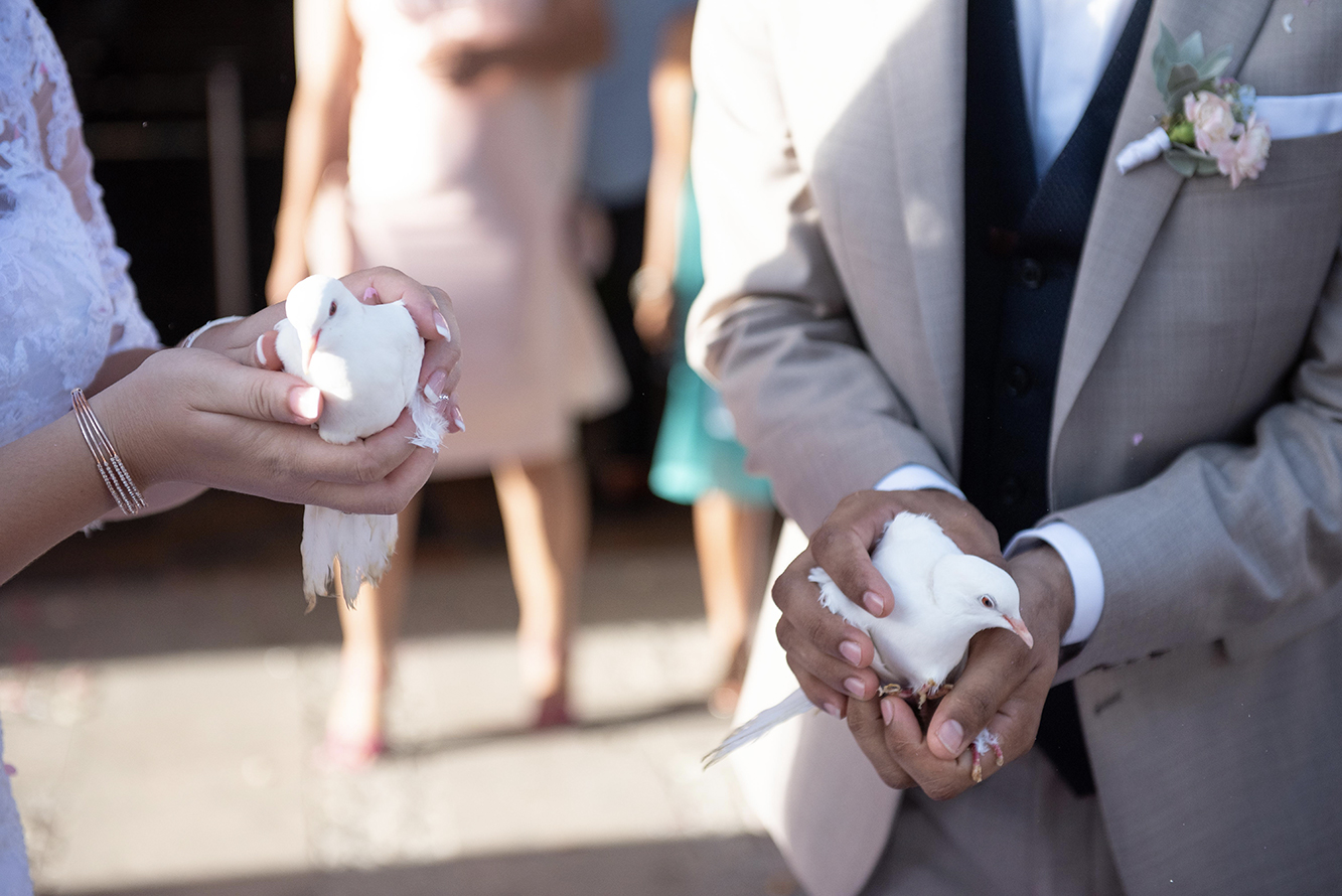 lâcher-de-colombes-mariage